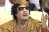 Gaddafi's family flees to Algeria