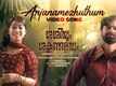 Sashiyum Sakunthalayum | Song - Anjanamezhuthum