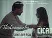Cicada | Song - Thulaamazha
