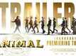Animal - Official Kannada Trailer