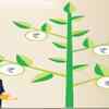 Know your rights and duties as an MF investor