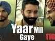 Yaar Mil Gaye - Tiger