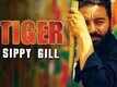 Official Song - Tiger