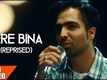 Tere Bina - Mahi NRI