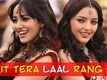 Yamla Pagla Deewana 2  Trailer