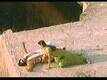 Dil Ki Kalam Se - Itihaas