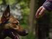 Max - TV Spot 2 [HD]