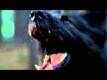 Official Trailer - The Pack
