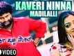 Kaveri Ninna Madilalli - Porki Huccha Venkat