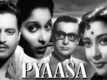 Official Trailer - Pyaasa