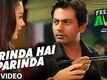 Parinda Hai Parinda - Freaky Ali