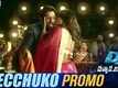 Mecchuko | Song Promo - DJ Duvvada Jagannadham