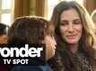 Movie Clip | 23 - Wonder
