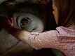 TV Spot - Monster Trucks