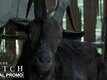 Dialogue Promo - The Witch