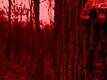 Official Teaser - Red Eye