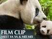 Featurette | 2 - Born In China
