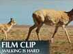 Featurette | 5 - Born In China