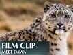 Featurette | 6 - Born In China