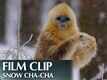 Featurette | 7 - Born In China