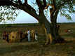 Dhaad - Movie Clip