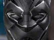 Movie Clip - Black Panther