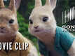 Movie Clip - Peter Rabbit