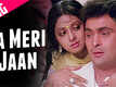 Chandni | Song - Aa Meri Jaan