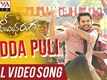 Chal Mohan Ranga | Song - Pedda Puli