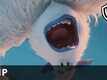 Smallfoot - Movie Clip