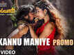 Bailwaan | Song Promo - Kannu Maniye
