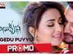 Radha Krishna | Song Promo - Thangedu Puvvu