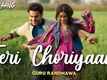 Chhalaang | Song - Teri Choriyaan