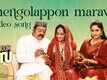 Mei Hoom Moosa | Song - Thengolappon Maravil